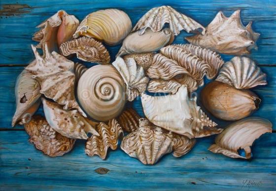 Sea Shells on Wood.aspx
